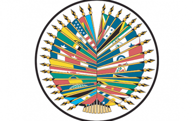 OAS electorale waarnemersmissie presenteert eindrapport verkiezingen 25 mei 2020