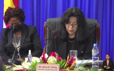 Constitutioneel Hof doet uitspraak over Amnestiewet