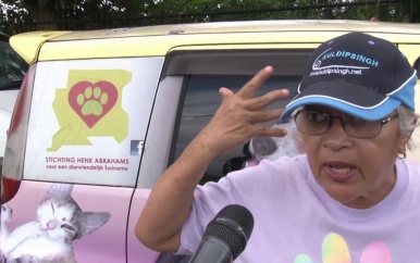 Cynthia Ashruf: “Dierenleed is niet goed te praten”