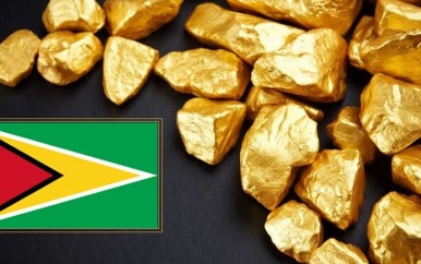 Miljoenenroof goudmijn in Guyana