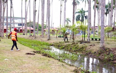 Directoraten werken samen aan strategisch Onderhoudsplan voor Palmentuin