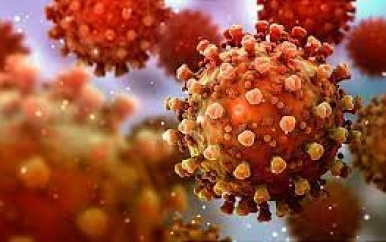 Delta-variant coronavirus vastgesteld in Suriname