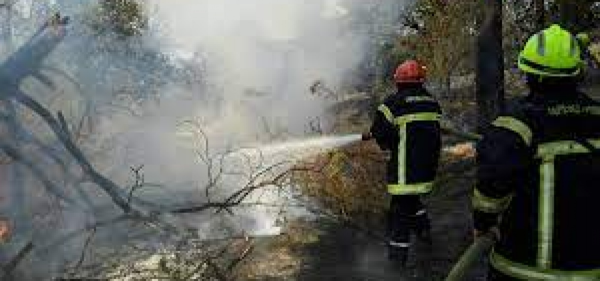 6000 mensen geëvacueerd door natuurbrand bij Saint-Tropez