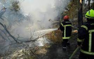 6000 mensen geëvacueerd door natuurbrand bij Saint-Tropez