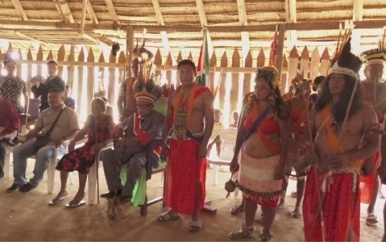 Inheemse Trio stam heeft nieuwe granmang