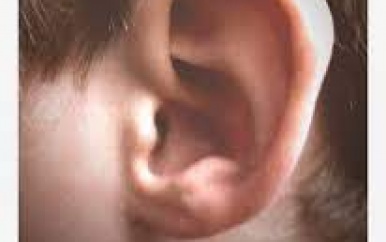 25 september Werelddovendag