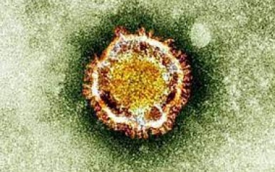 WHO houdt MU-variant van het coronavirus in de gaten