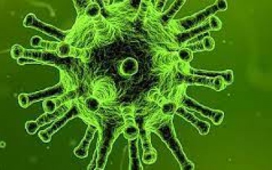 Twee COVID-doden te betreuren en 415 besmettingen