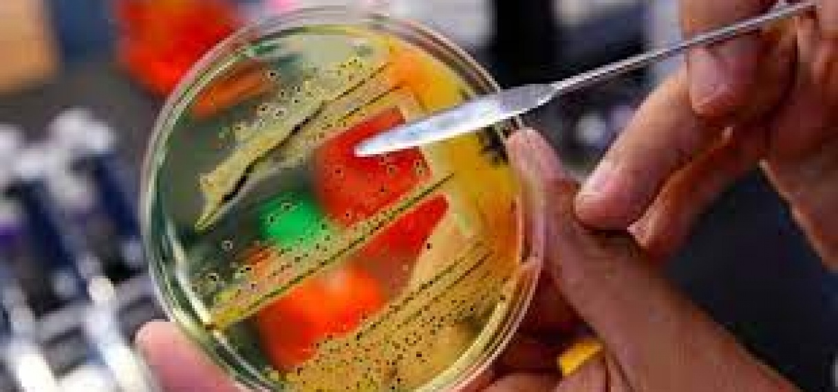 AMERICA’S MELDT TOENAME VAN RESISTENTE INFECTIES DOOR MISBRUIK VAN ANTIMICROBLIELE STOFFEN