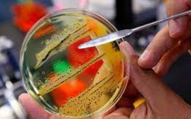 AMERICA’S MELDT TOENAME VAN RESISTENTE INFECTIES DOOR MISBRUIK VAN ANTIMICROBLIELE STOFFEN