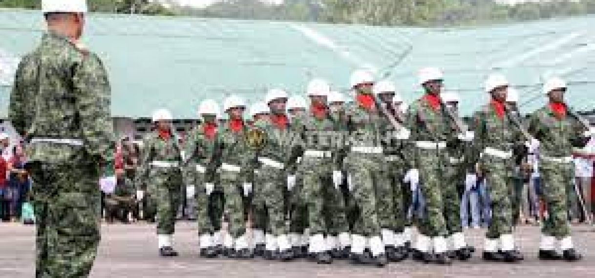Nationaal leger op weg naar transformatie