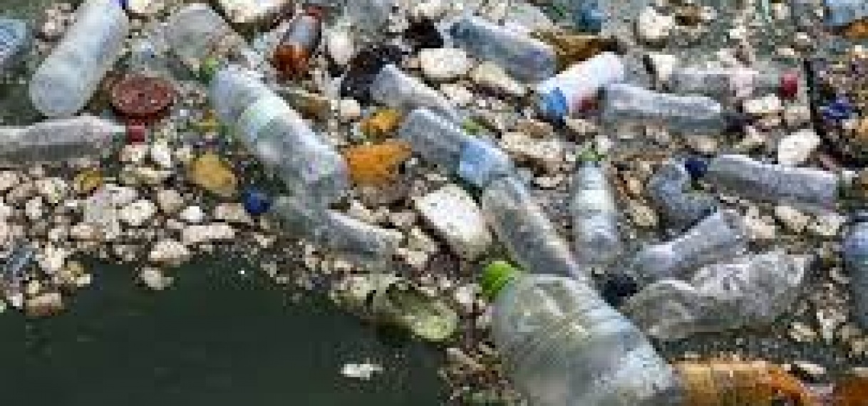 MEER PLASTIC DAN VISSEN IN DE OCEANEN TEGEN 2050