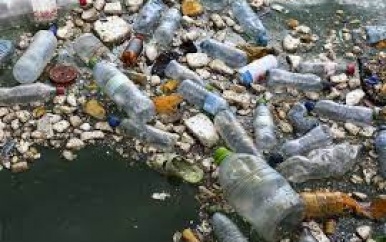 MEER PLASTIC DAN VISSEN IN DE OCEANEN TEGEN 2050