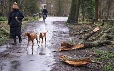 Zesde stormdag op rij zorgt voor nieuw record in Nederland