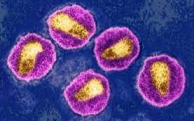 Agressieve hiv-variant ontdekt in Nederland en België