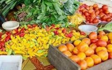 Regering zal faciliterend optreden bij export van agrarische producten