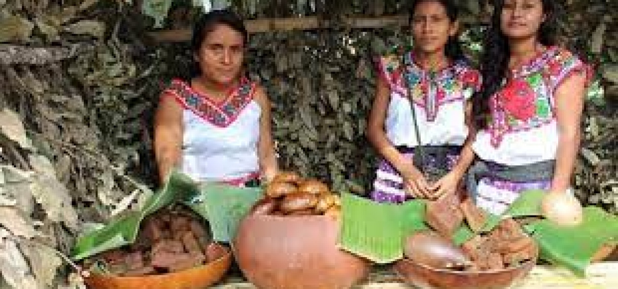 Inheemse vrouwen in Suriname kunnen wederom een project indienen en kans maken op U$ 10.000 voor uitvoering