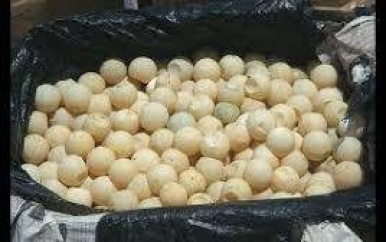 Bijkans 9.000 krapé-eieren in beslag genomen