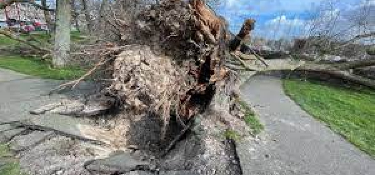 Noord- west Europa zwaar getroffen door storm