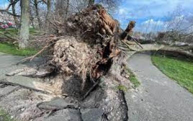 Noord- west Europa zwaar getroffen door storm