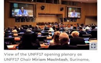 Suriname neemt deel aan de 17e United Nations Forum on Forests