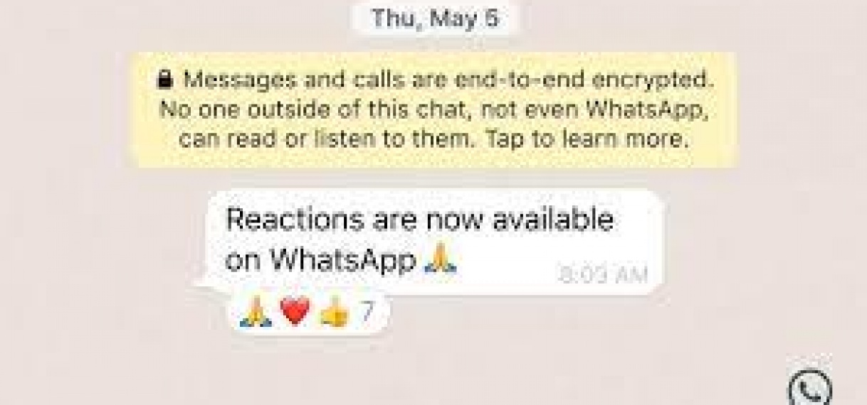 Eerste Whatsapp-gebruikers krijgen emojireacties en grotere groepen