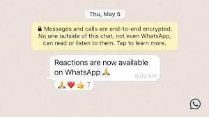 Eerste Whatsapp-gebruikers krijgen emojireacties en grotere groepen