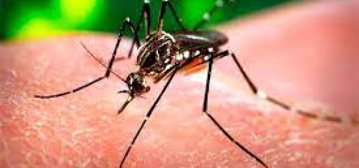 Suriname gaat voor eliminatie malaria
