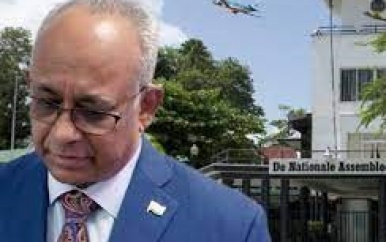 Parlementariers mogen fluiten naar diplomatiek paspoort voor gezinsleden