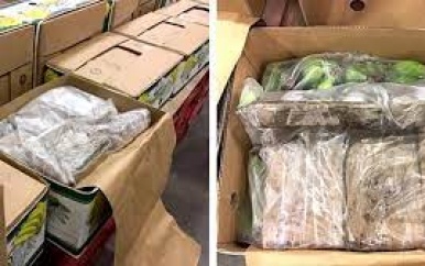 Europa knooppunt in wereldwijde cocaïnehandel