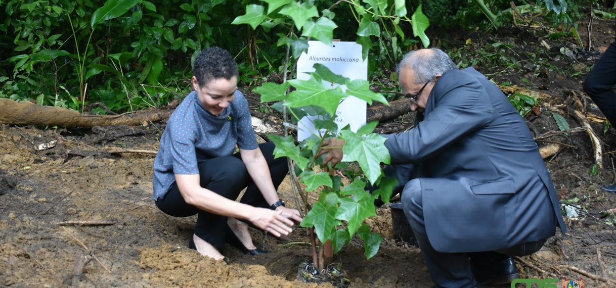 Regionale leiders planten bomen ter herdenking oprichting Caricom