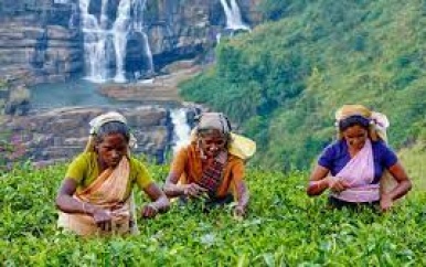 Inflatie, tekorten en malaise: in Sri Lanka weten ze het ook niet meer