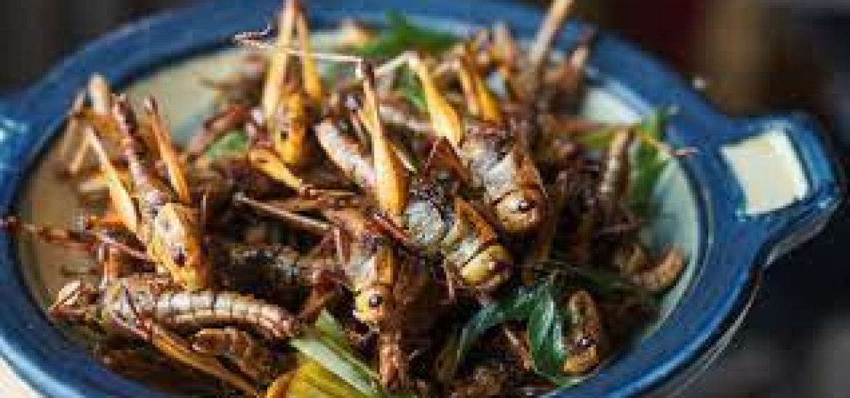 Wetenschappers vermoeden dat insecten in staat zijn om pijn te voelen