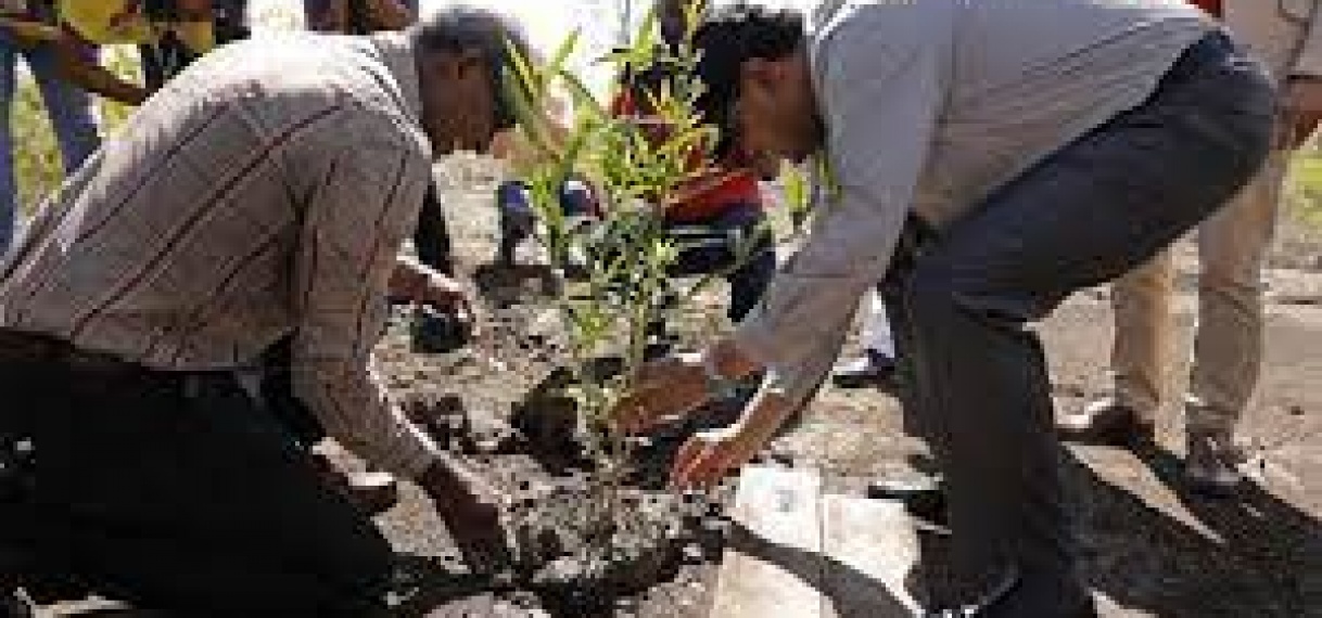 President geeft startsein voor Mangroveproject