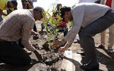 President geeft startsein voor Mangroveproject