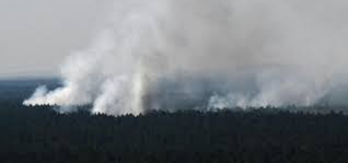 Duitse brandweer kan grote bosbrand Berlijn niet blussen door explosiegevaar