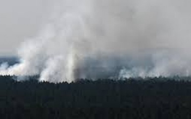 Duitse brandweer kan grote bosbrand Berlijn niet blussen door explosiegevaar