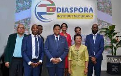 Voltallig bestuur Diaspora Instituut Nederland stapt op