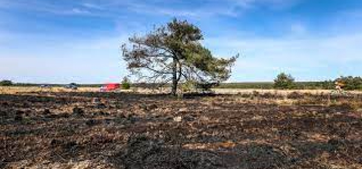 Brandweer zet extra bluswagens in wegens groot risico op natuurbranden