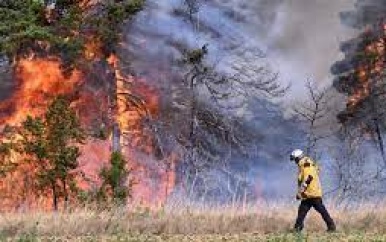 Brandweerlieden uit zeven landen helpen Frankrijk bij bestrijding natuurbranden