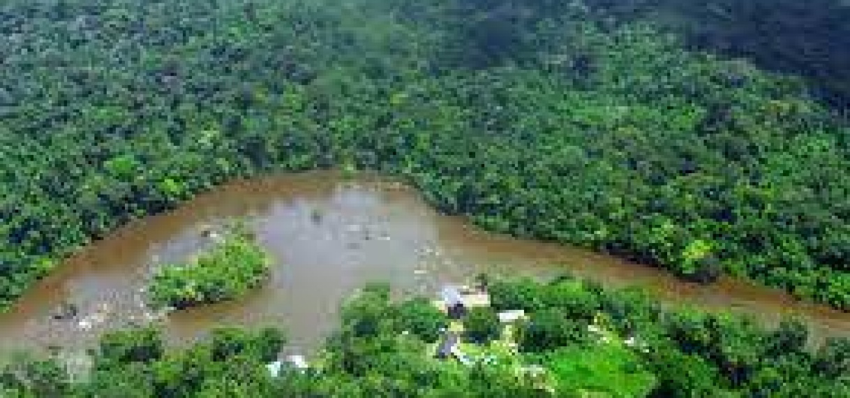 Suriname moet meer gaan investeren in natuurbeheer