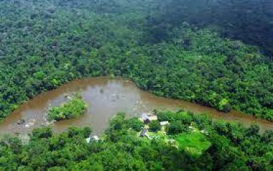 Suriname moet meer gaan investeren in natuurbeheer
