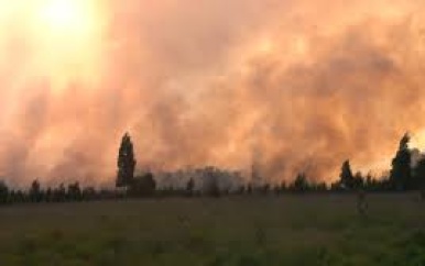 Grote natuurbrand in natuurgebied de Peel in Limburg, brandweer schaalt op