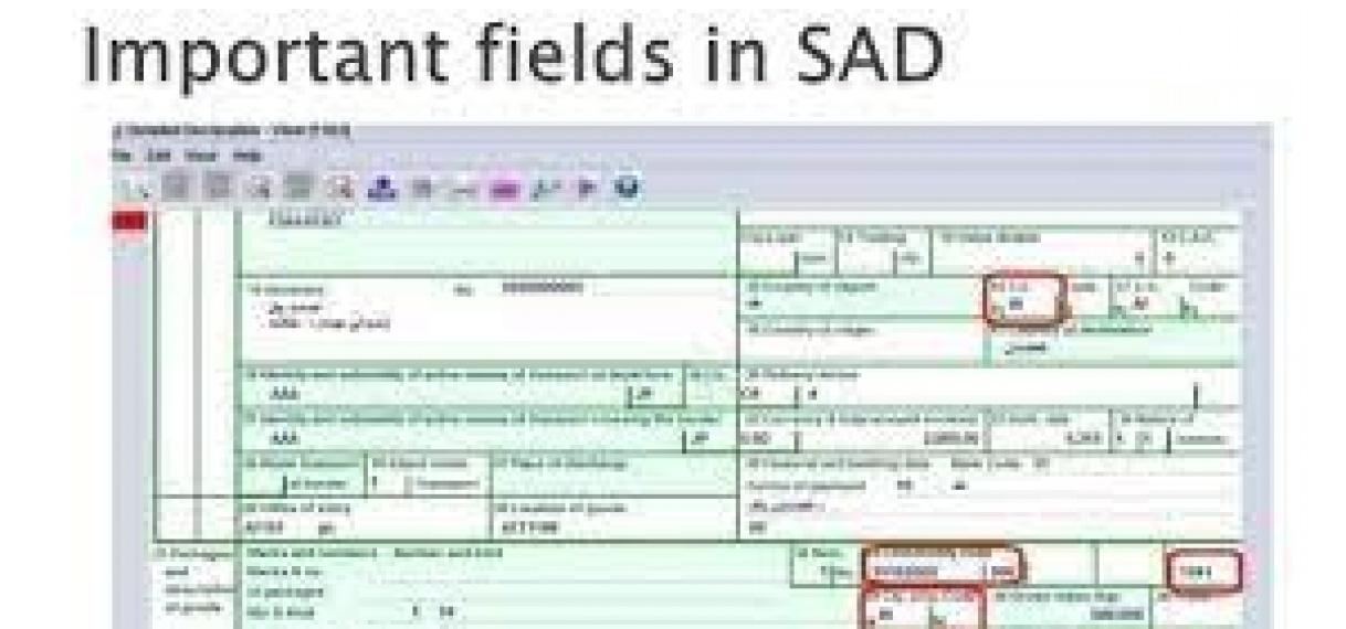 Functionerend Asycuda systeem na updates software