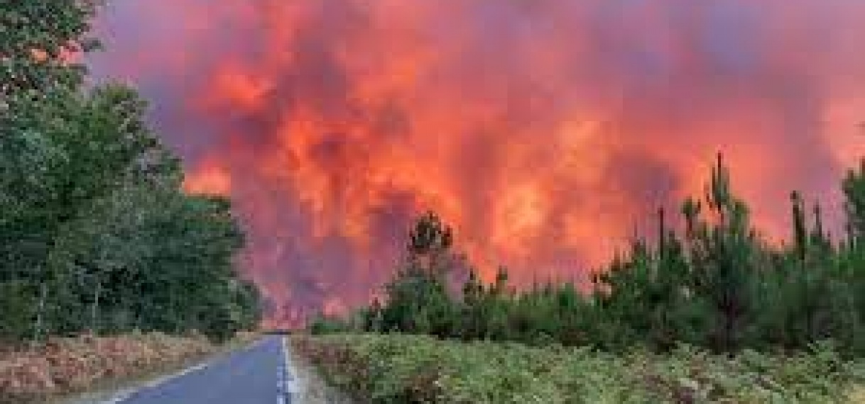 Bijna alle bosbranden in Frankrijk gevolg van menselijke fouten