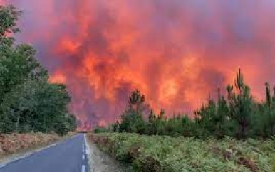 Bijna alle bosbranden in Frankrijk gevolg van menselijke fouten