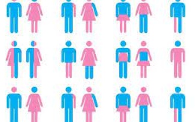 Opvattingen over specifieke genderrollen en patriarchale opvattingen over gender