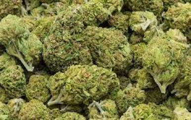 Bijna 3 ton marihuana in beslag genomen door Venezuela