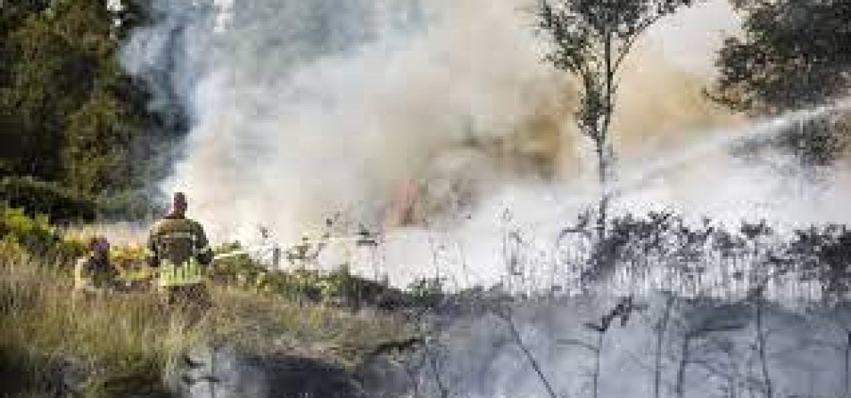 Blussen natuurbrand Mariapeel in Limburg zal nog dagen duren