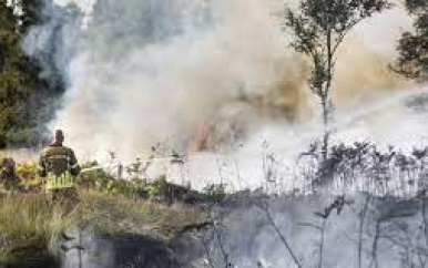 Blussen natuurbrand Mariapeel in Limburg zal nog dagen duren